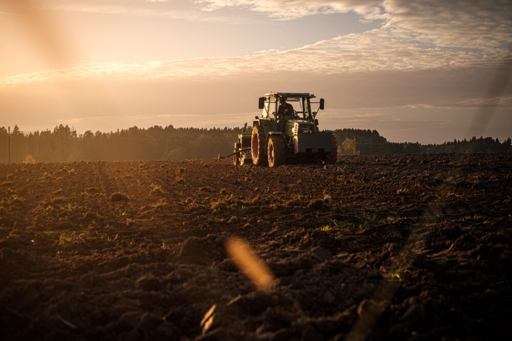 Traktor Fendt am Feld